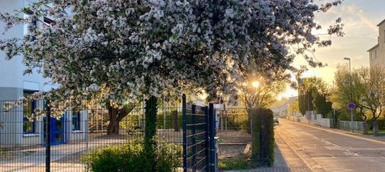 Kita Kunterbunt Willkommen Kita Kunterbunt Willkommen